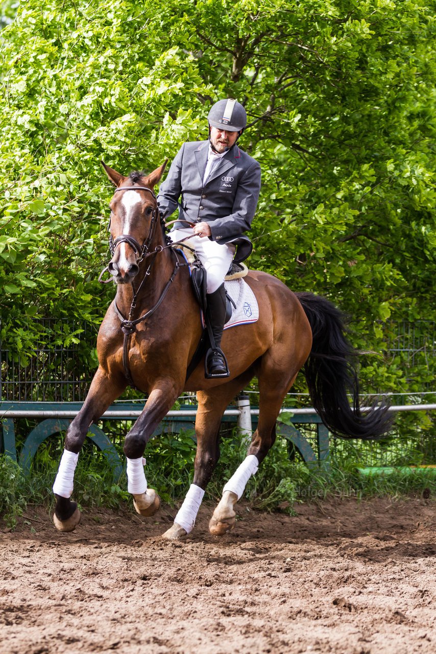 Bild 187 - Reitschule Janen Jubilum